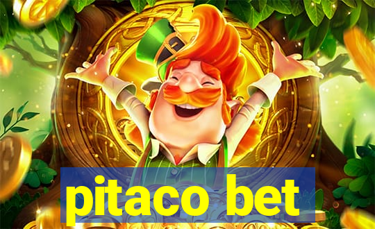 pitaco bet